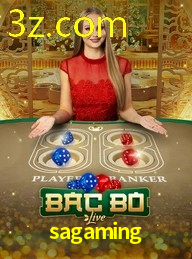 SAGAMING.COM